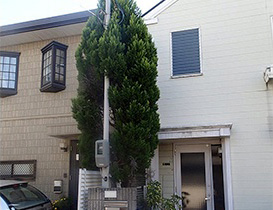 植木伐採作業前