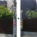ヤマボウシ剪定