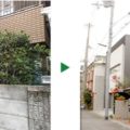 マキの剪定