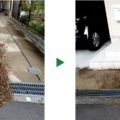 オリーブの剪定と除草～京都府～