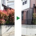 レッドロビンの生垣の剪定