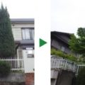 植木剪定