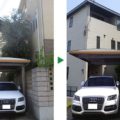 オリーブ　剪定
