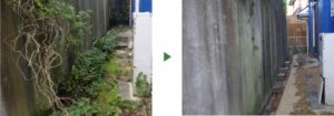 伐採 K様邸