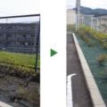 防草シートの張り替え