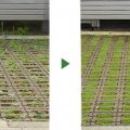 駐車場　緑化ブロック