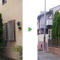 エメラルド　剪定