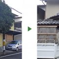 グミノキ　剪定
