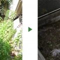 before-after