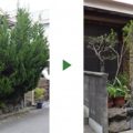空き家の生垣