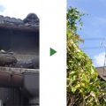 撤去before-after