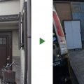 キンモクセイ