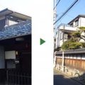 マツなどの剪定