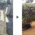 デコボコの庭に芝張り