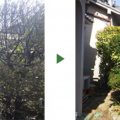 空き家の剪定・草刈り