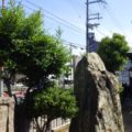 庭手入れ