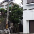 庭手入れ