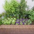 植栽後の花壇