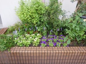 植栽後の花壇