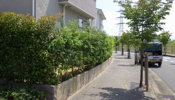 大阪市 和歌山の植木屋村上造園です 出張 見積無料で庭木剪定 植栽 伐採作業いたします 大阪市 堺市 門真市の植木屋村上造園