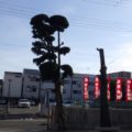 庭木手入れ後