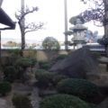 松伐採後