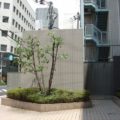 植木剪定