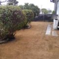 芝張り後２