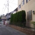 植木剪定後９