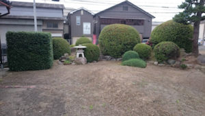 植木剪定後８