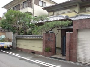 松剪定後