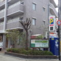 植木剪定作業後