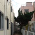 奈良市植木伐採後４