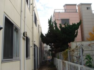 奈良市植木伐採後４