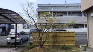 奈良植木剪定後