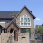 奈良県植木剪定後7