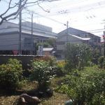 奈良県植木剪定後6