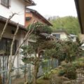 奈良市植木剪定作業後１