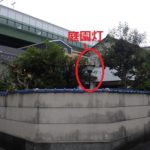 大阪市植木伐採後7