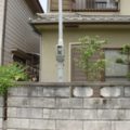 大阪植栽作業後