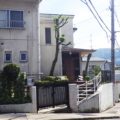 大阪植木剪定後９
