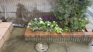 大阪植木剪定後８