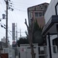 奈良植木剪定後４