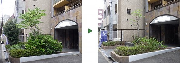 beforeafter20190903 大阪市・堺市・門真市の植木屋村上造園