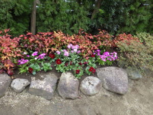 花植栽