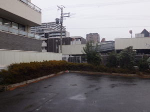 伐採前