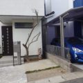 大阪市西淀川区オリーブ抜根後