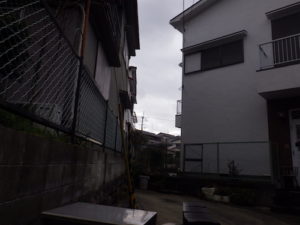 大阪府大阪市大正区クロガネモチ伐採後