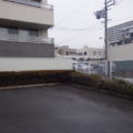 会社の駐車場の植え込みに勝手に生えた木を切ってほしい　大阪市城東区