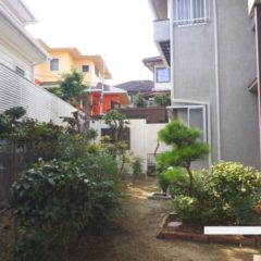 大阪市天王寺区の空き家の庭　剪定後